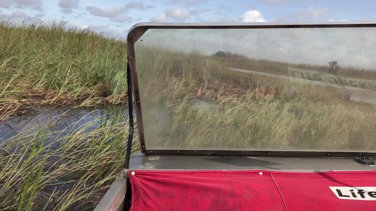 'Video thumbnail for Everglades Airboat Fast Ride'