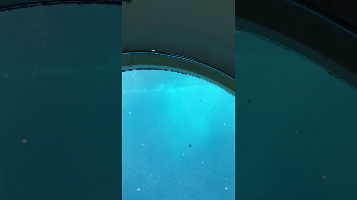 'Video thumbnail for Submarine Surfacing'